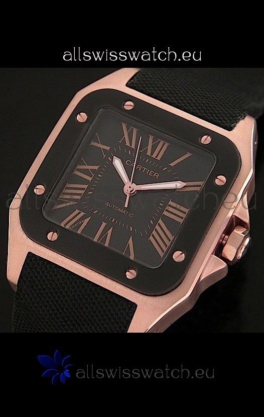 IMG_9085 Cartier Santosin Black Dial Replica 2