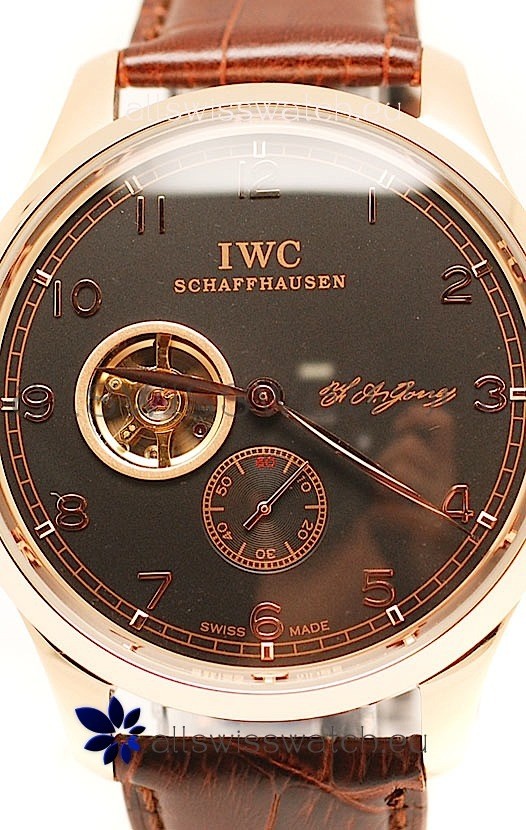 IMG_9085 IWC Portuguese Regulateur Tourbillon in Black Dial Replica 2