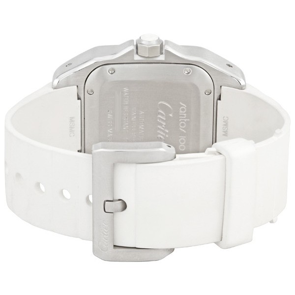 IMG_9086 Cartier W20122U2 Santos de Cartier Ladies Automatic Stainless Steel 3