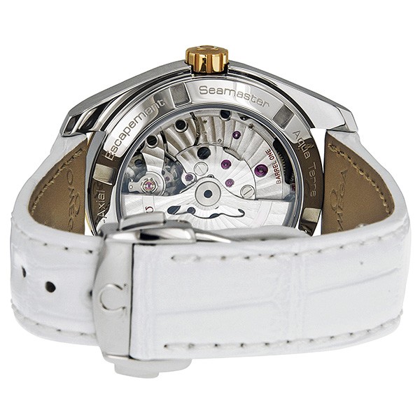 IMG_9086 Omega 231.23.39.21.55.002 Seamaster Aqua Terra Mens Automatic Solid 18 kt Gold and Steel 3