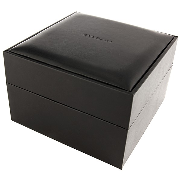 IMG_9081 Bvlgari SP35C6SS-1T Serpenti Ladies Quartz Stainless Steel Replica 4