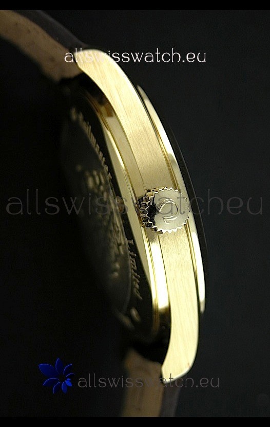 IMG_9081 Omega Seamaster Co Axial Automatic in Rose Gold Replica 5