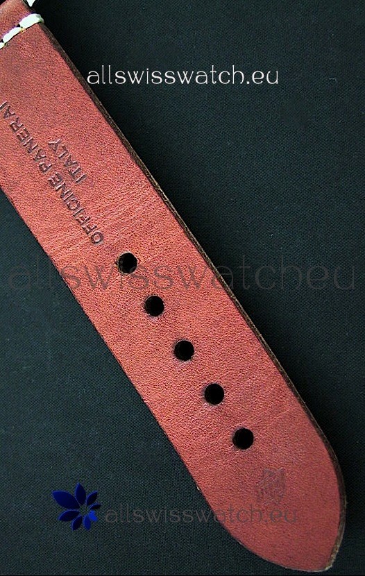 IMG_9081 Panerai Radiomir California Vintage Homage in Orange Dial Replica 6