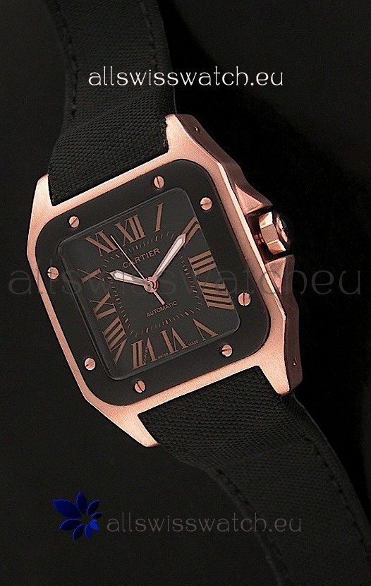 IMG_9081 Cartier Santosin Black Dial Replica 7