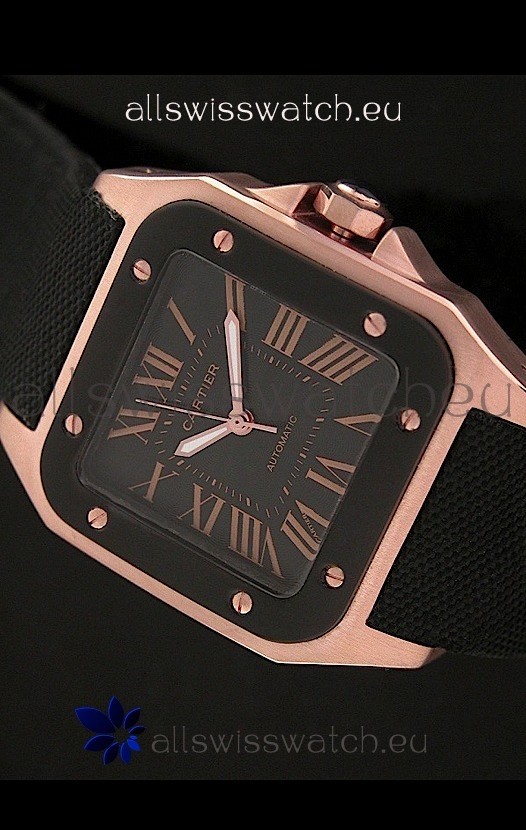 IMG_9081 Cartier Santosin Black Dial Replica 8