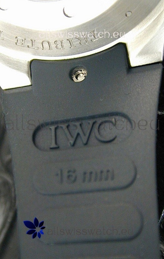 IWC Cousteau Divers in Black Dial Replica 8