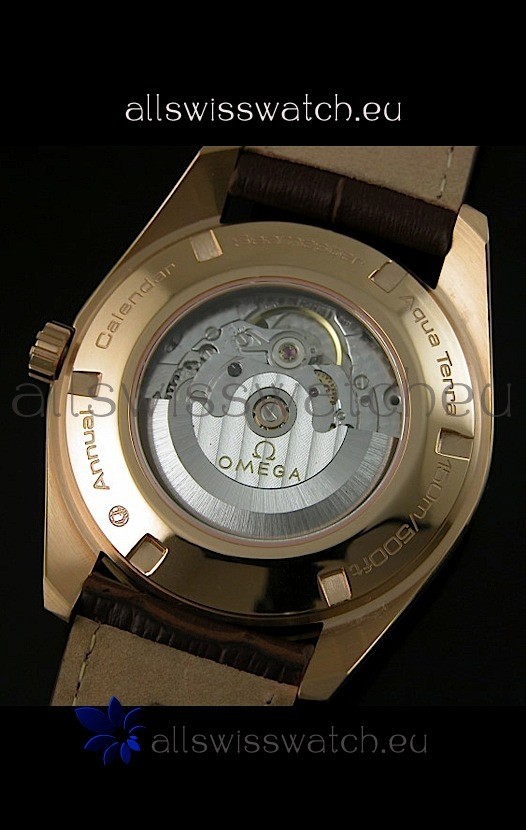 IMG_9081 Omega Seamaster Aquaterra Annual Calender GMT Replica 8
