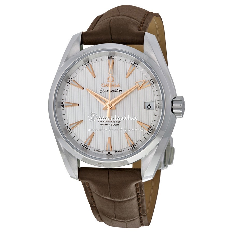 Omega 231.13.39.21.02.003 Mens Automatic Stainless Steel