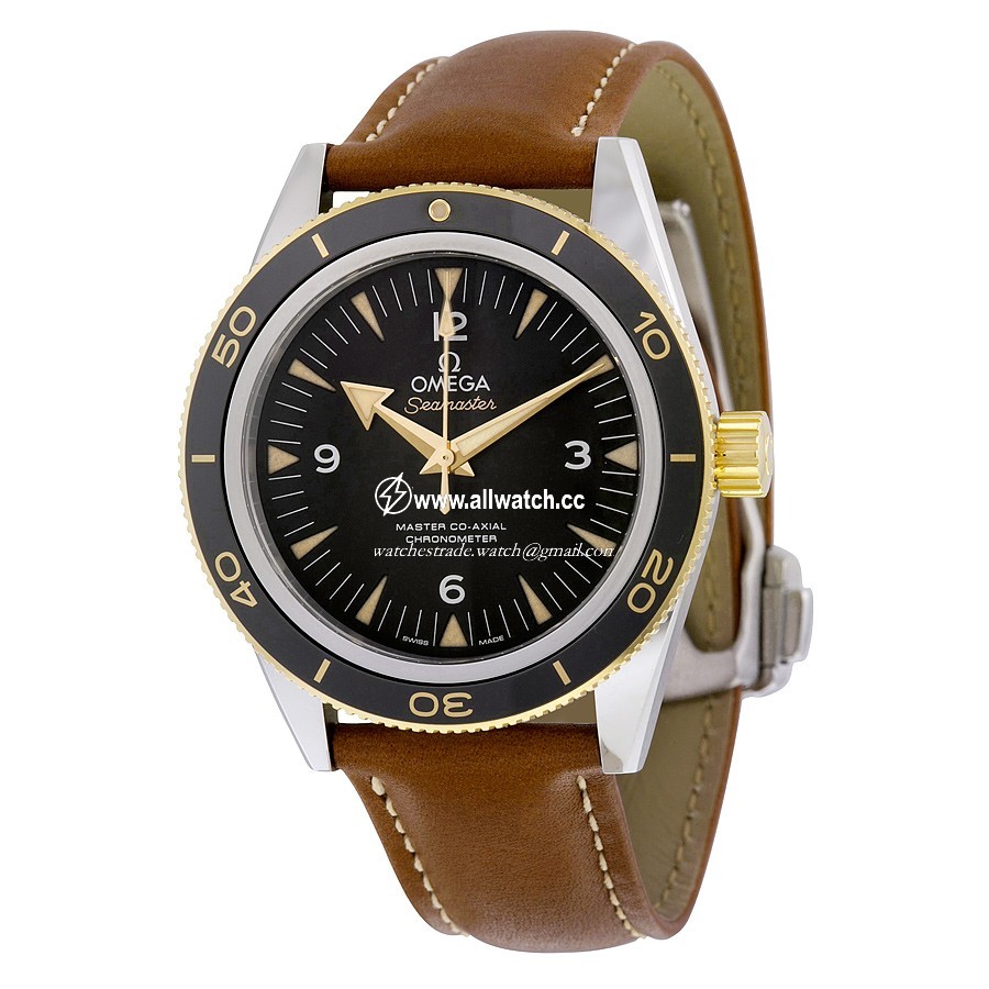 Omega 233.22.41.21.01.001 Seamaster Mens Automatic Stainless Steel
