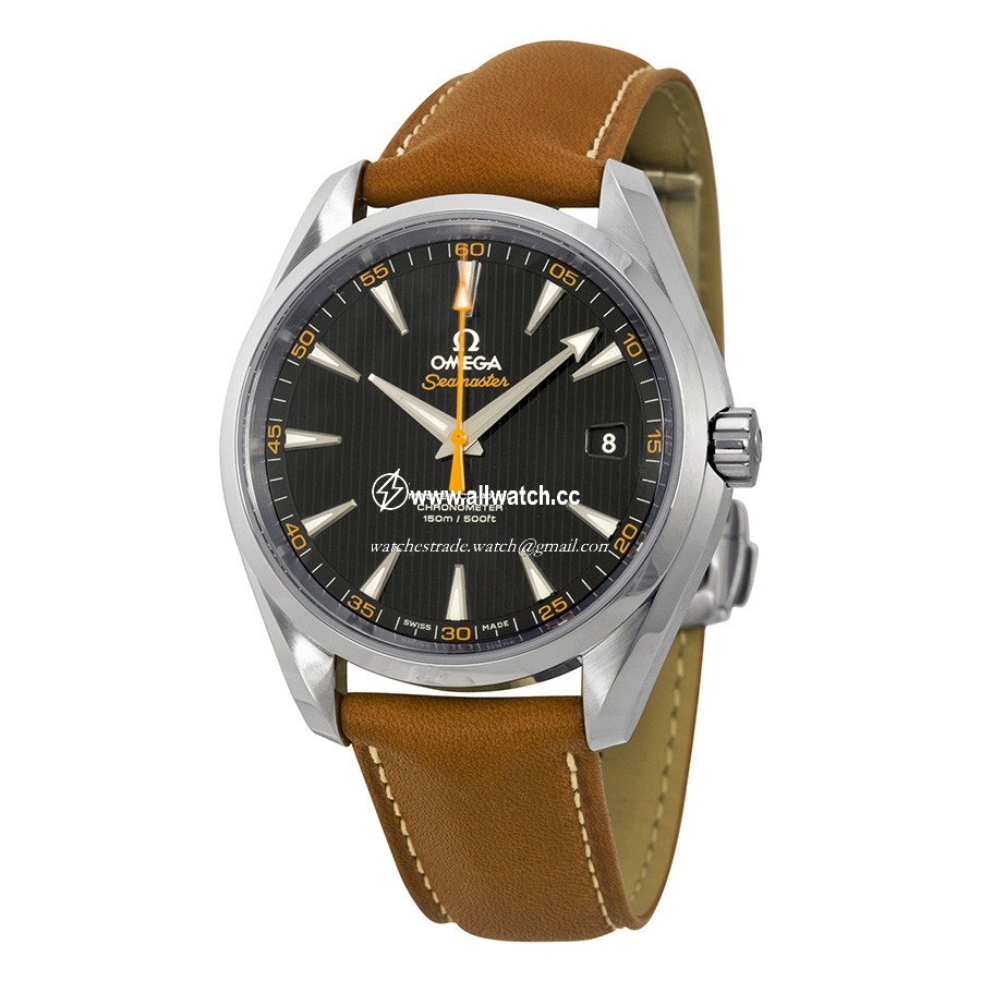 Omega 23112422101002 Mens Automatic Stainless Steel
