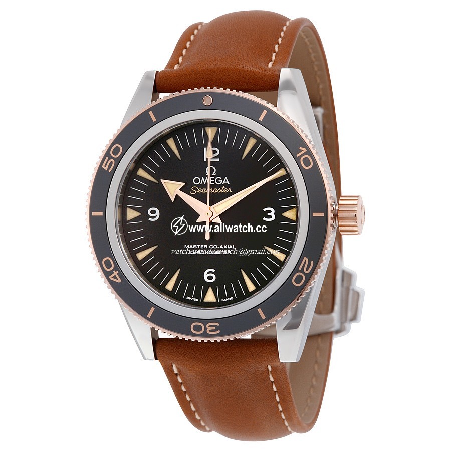 Omega 233.22.41.21.01.002 Mens Automatic Stainless Steel