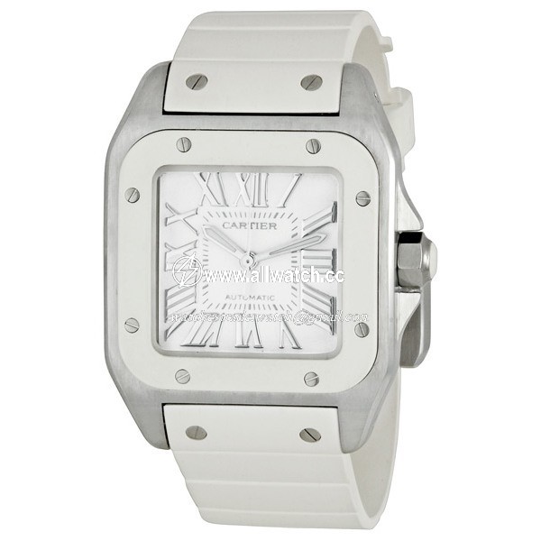 Cartier W20122U2 Santos de Cartier Ladies Automatic Stainless Steel