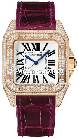 Cartier WM502151 Santos de Cartier Ladies Automatic 18kt Rose Gold