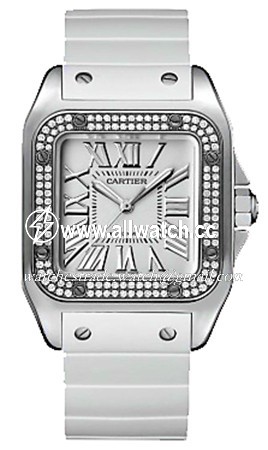 Cartier WM50460M Santos de Cartier Ladies Automatic 18kt White Gold