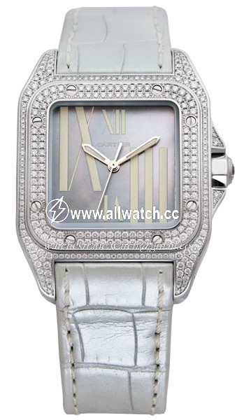 Cartier WM503251 Santos de Cartier Unisex Automatic 18kt White Gold Case Set With Diamonds