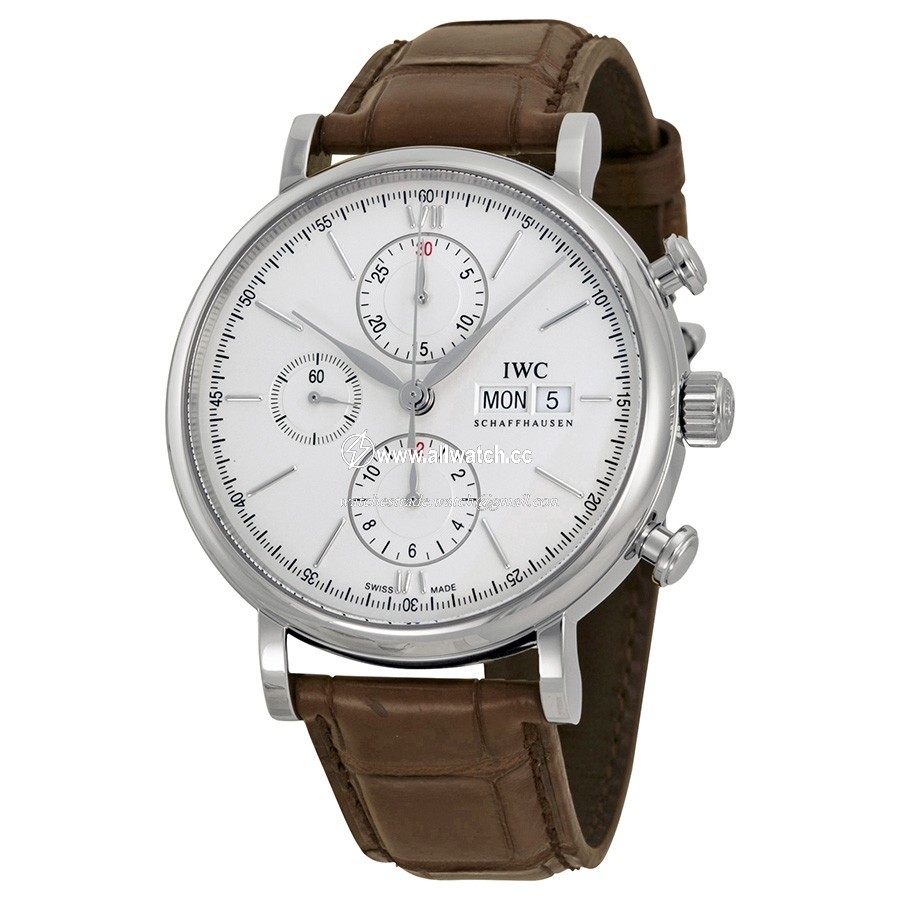 IWC IW391007 Portofino Mens Automatic Stainless Steel