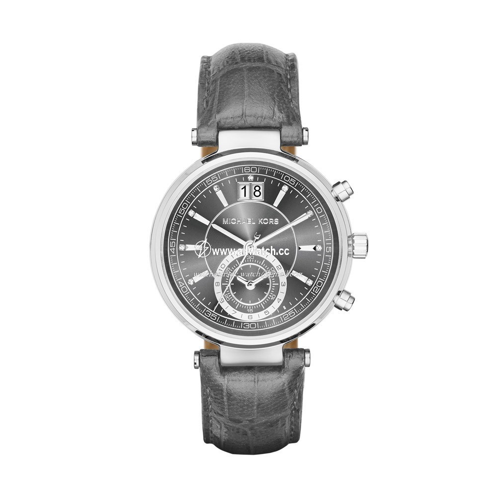 Michael Kors MK2432 Ladies Quartz Stainless Steel