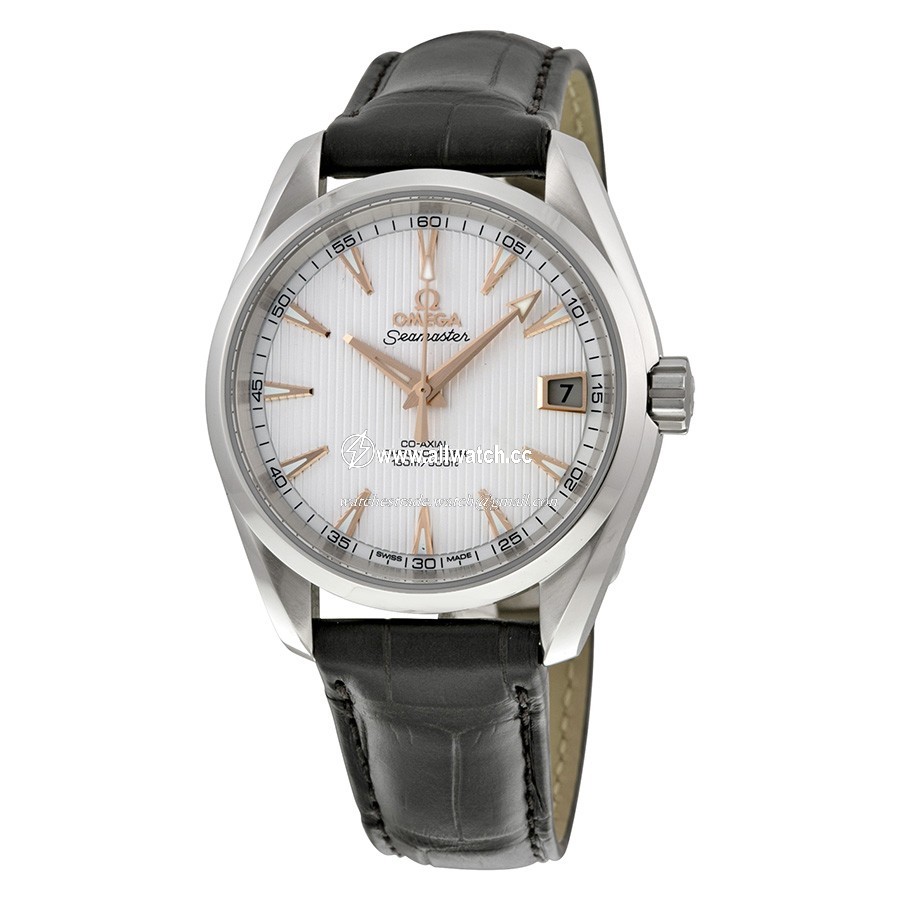 Omega 231.13.39.21.02.002 Seamaster Mens Automatic Stainless Steel