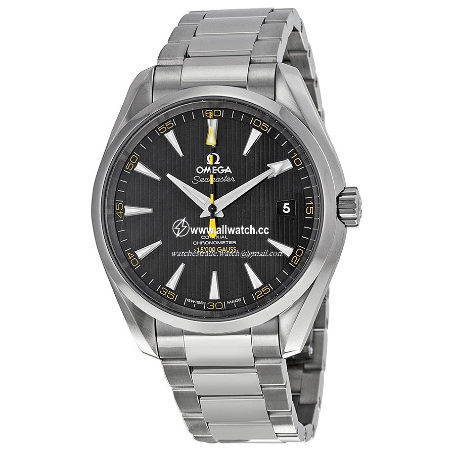Omega 231.10.42.21.01.002 Seamaster Aqua Terra Mens Automatic Stainless Steel