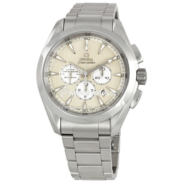 Omega 231.10.44.50.09.001 Seamaster Aqua Terra Mens Automatic Stainless Steel