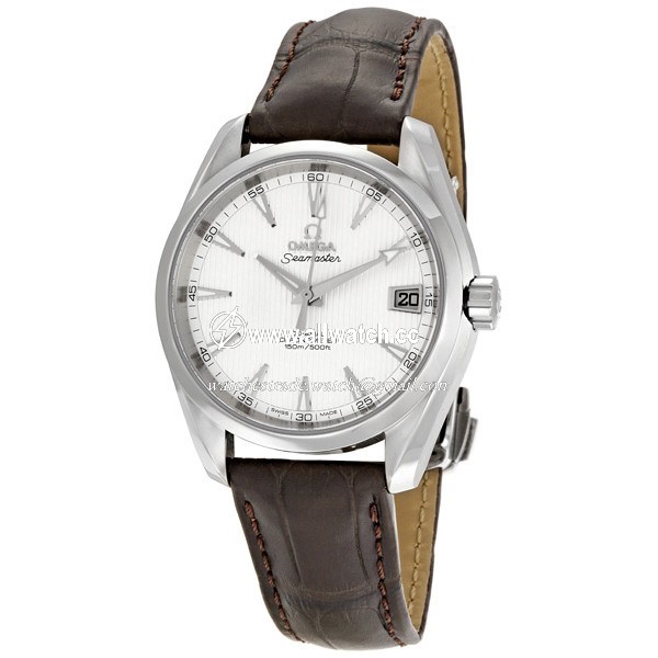 Omega 231.13.39.21.02.001 Seamaster Aqua Terra Mens Automatic Stainless Steel