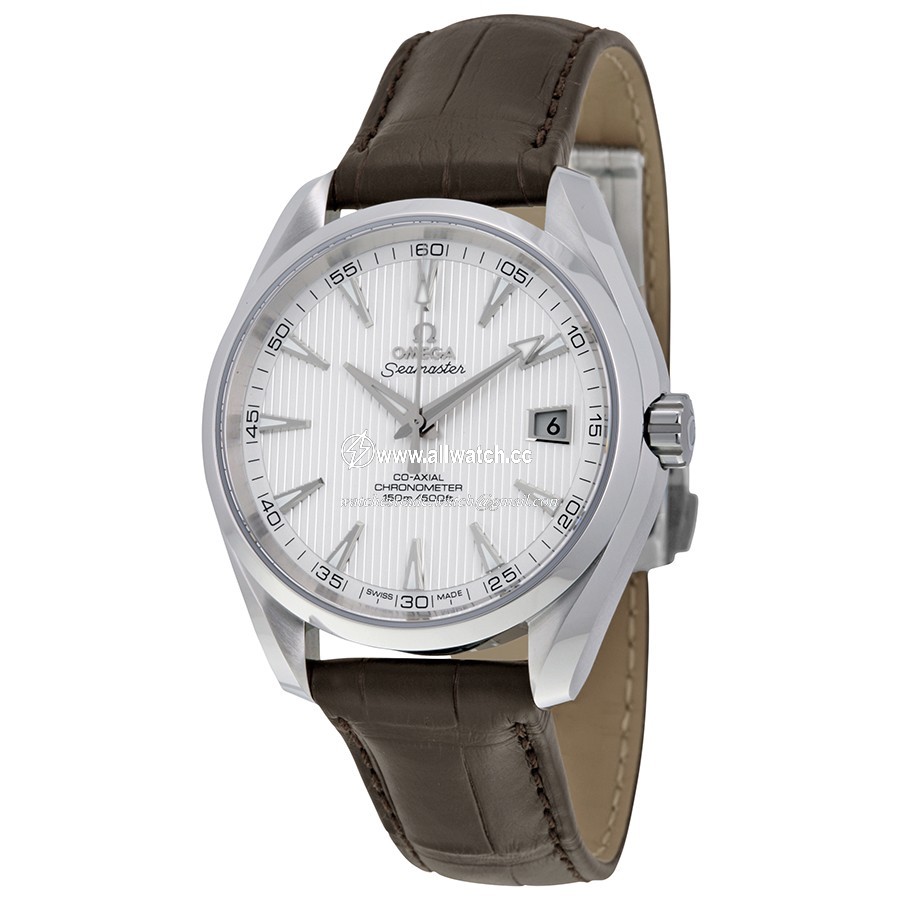 Omega 231.13.42.21.02.001 Seamaster Aqua Terra Mens Automatic Stainless Steel