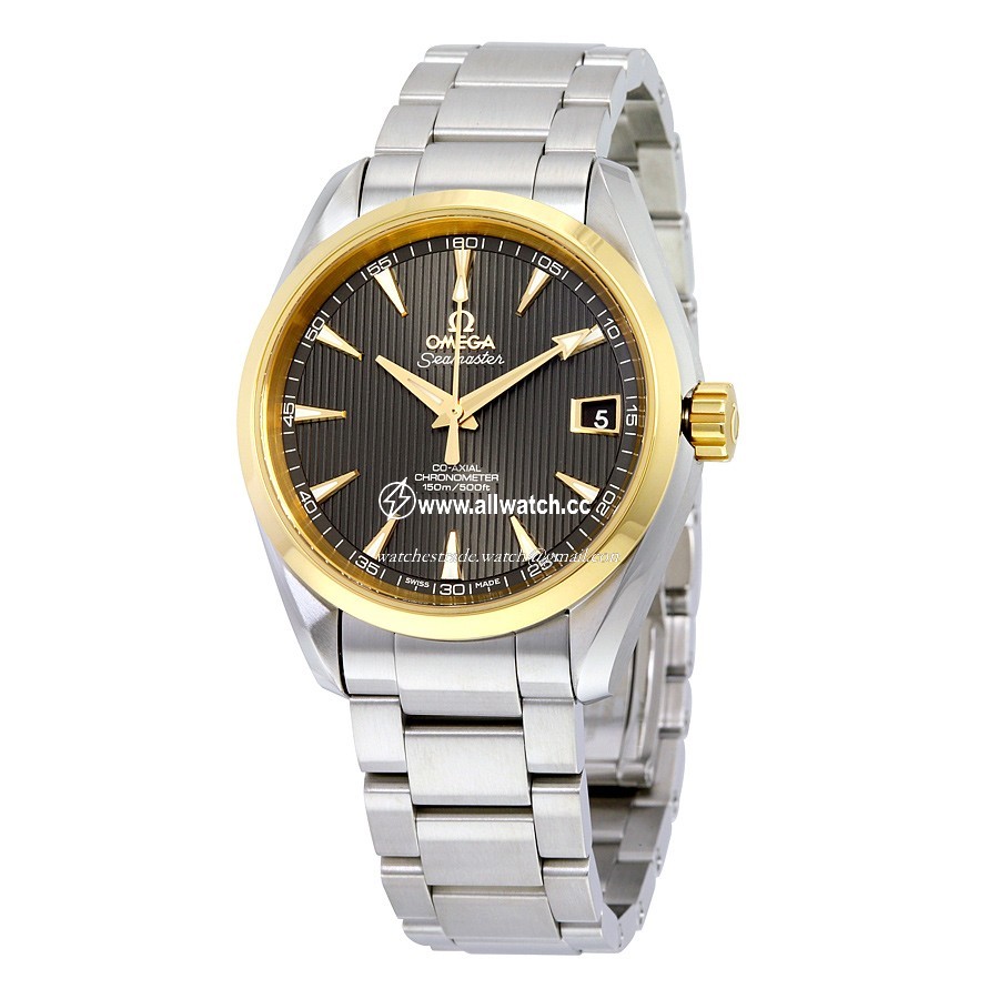 Omega 231.20.39.21.06.004 Seamaster Aqua Terra Mens Automatic Stainless Steel and 18K Yellow Gold