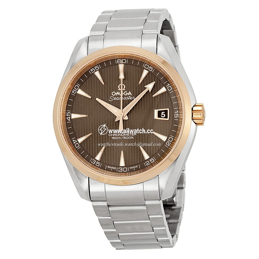 Omega 231.20.42.21.06.002 Seamaster Aqua Terra Mens Automatic Stainless Steel