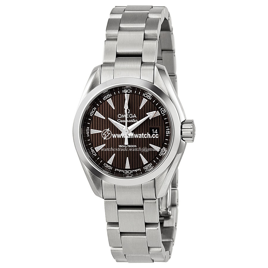 Omega 23110306006001 Seamaster Aqua Terra Ladies Quartz Stainless Steel