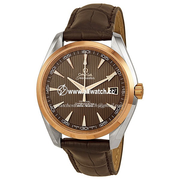 Omega 23123422106001 Seamaster Aqua Terra Mens Automatic Stainless Steel