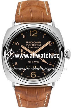 Panerai PAM00495 Radiomir Mens Automatic Platinum