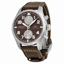 IWC IW387806 Pilotses Mens Automatic Stainless Steel