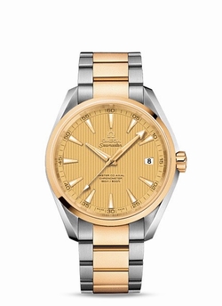 Omega 231.20.42.21.08.001 Mens Automatic Stainless Steel and 18k Yellow Gold